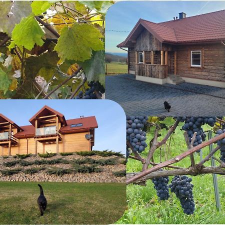 Fantastic View Vineyard Beskid Mountains Gruszow  Buitenkant foto