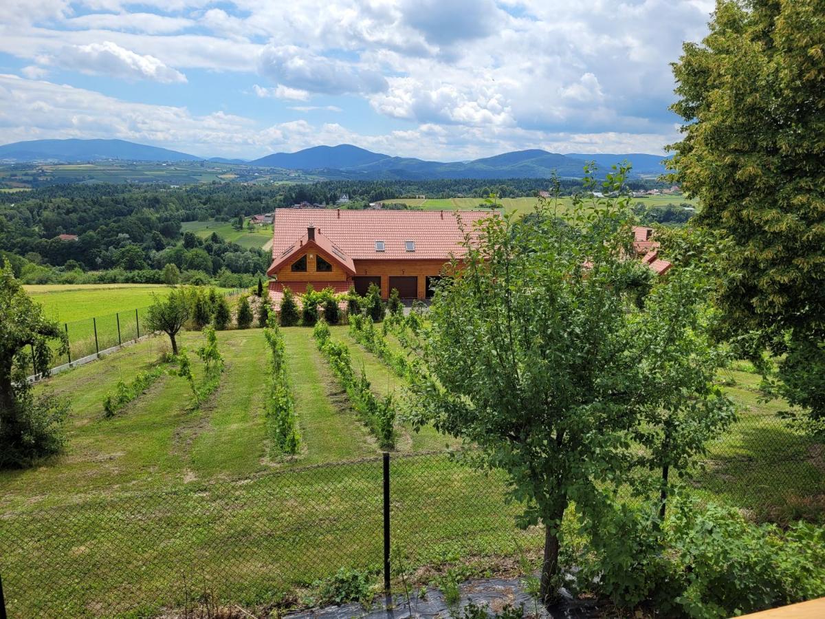 Fantastic View Vineyard Beskid Mountains Gruszow  Buitenkant foto