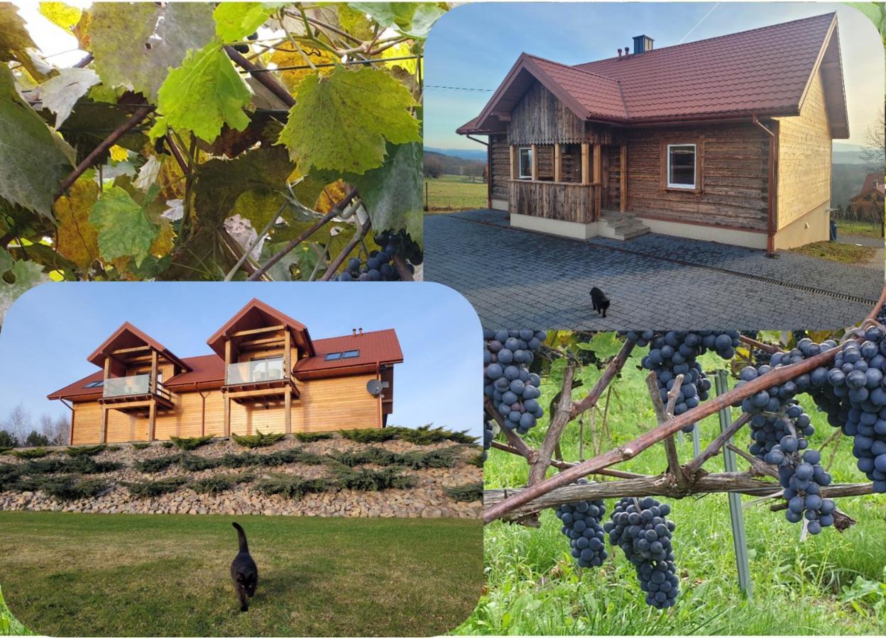 Fantastic View Vineyard Beskid Mountains Gruszow  Buitenkant foto