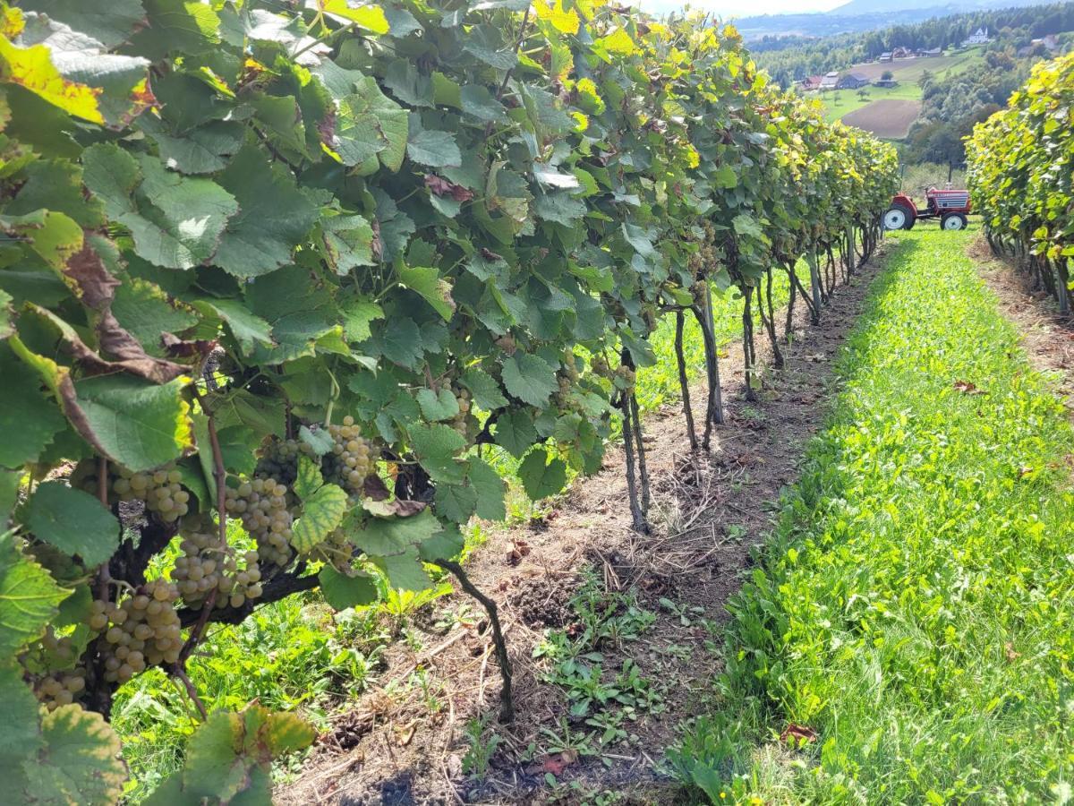 Fantastic View Vineyard Beskid Mountains Gruszow  Buitenkant foto