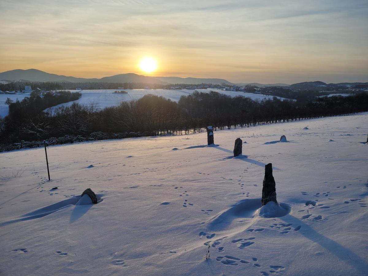 Fantastic View Vineyard Beskid Mountains Gruszow  Buitenkant foto