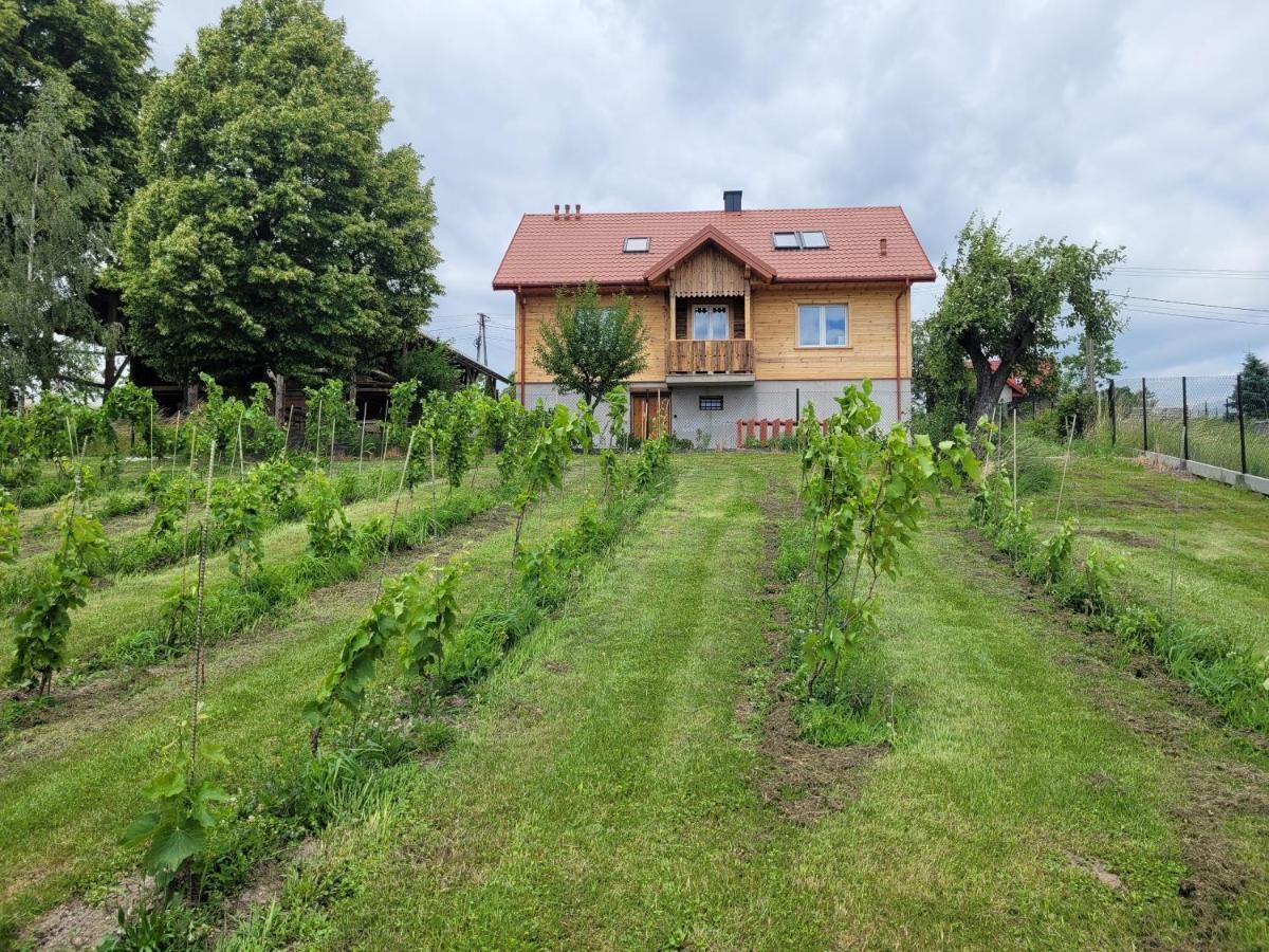 Fantastic View Vineyard Beskid Mountains Gruszow  Buitenkant foto