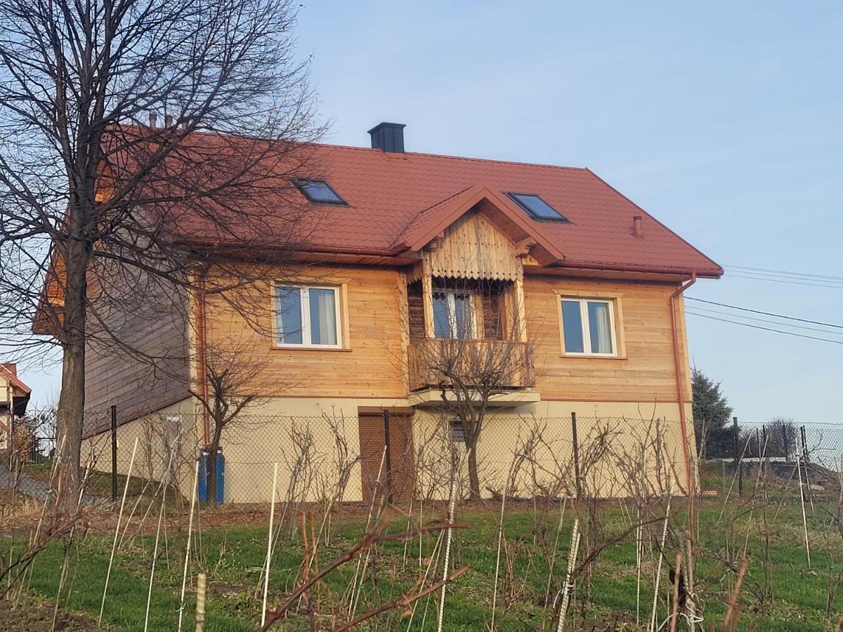 Fantastic View Vineyard Beskid Mountains Gruszow  Buitenkant foto