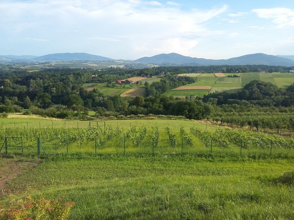 Fantastic View Vineyard Beskid Mountains Gruszow  Buitenkant foto