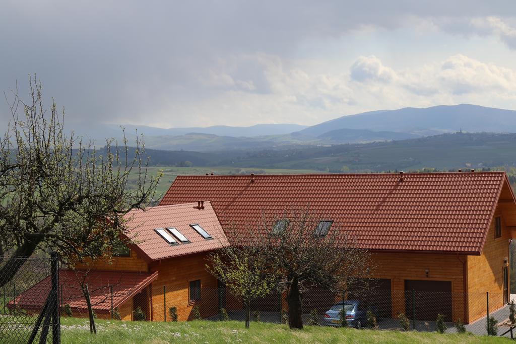 Fantastic View Vineyard Beskid Mountains Gruszow  Buitenkant foto